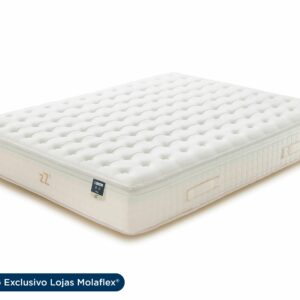 zZ5 Firm Multielástic